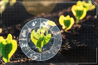 Hyperspectral Imaging Hyperspectral Imaging